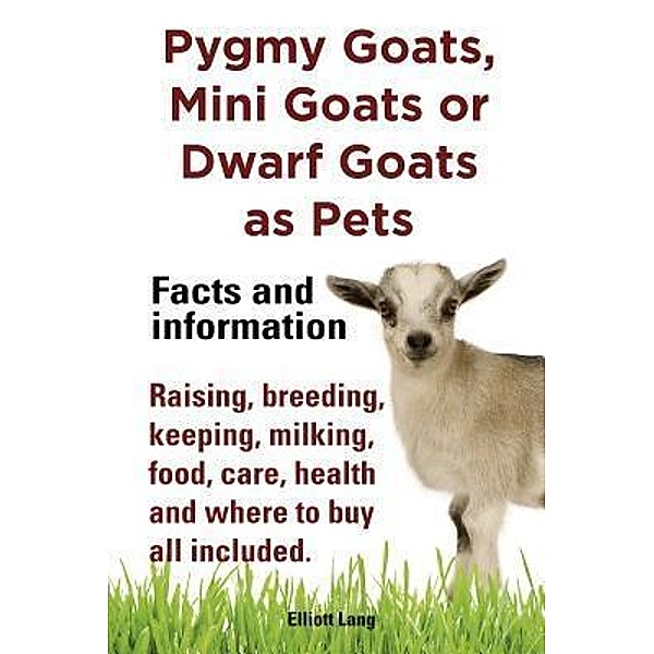Pygmy Goats as Pets. Pygmy Goats, Mini Goats or Dwarf Goats, Elliott Lang