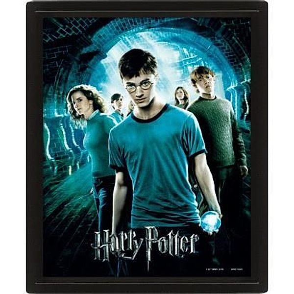 PYRAMID - Harry Potter (Order Of The Phoenix) 3D Bilderrahmen 30 x 40 cm