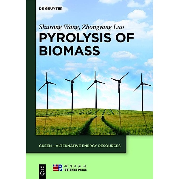 Pyrolysis of Biomass / GREEN - Alternative Energy Resources Bd.1, Shurong Wang, Zhongyang Luo
