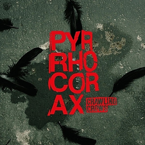Pyrrhocorax, Crawling Crows