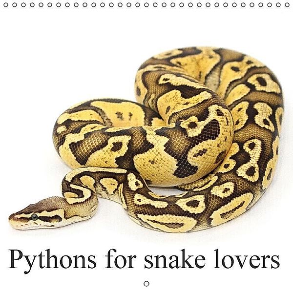 Pythons for snake lovers (Wall Calendar 2017 300 × 300 mm Square), SchnelleWelten