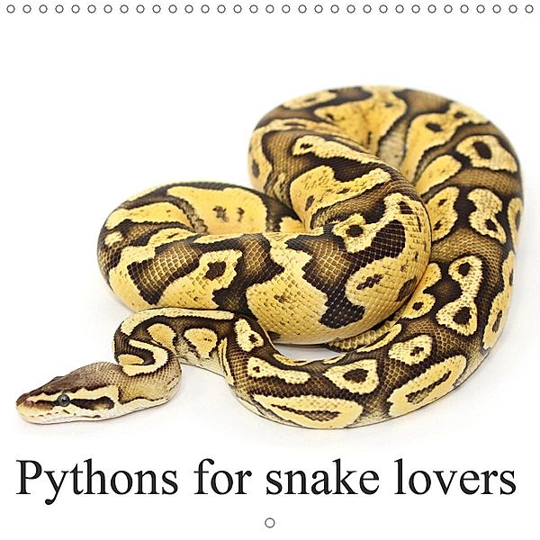 Pythons for snake lovers (Wall Calendar 2021 300 × 300 mm Square)