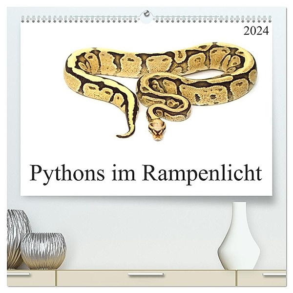 Pythons im Rampenlicht (hochwertiger Premium Wandkalender 2024 DIN A2 quer), Kunstdruck in Hochglanz, Schnellewelten