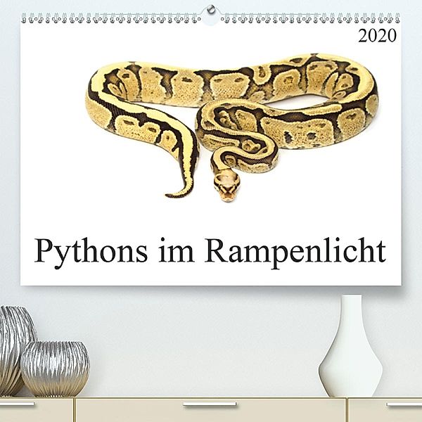 Pythons im Rampenlicht (Premium-Kalender 2020 DIN A2 quer)