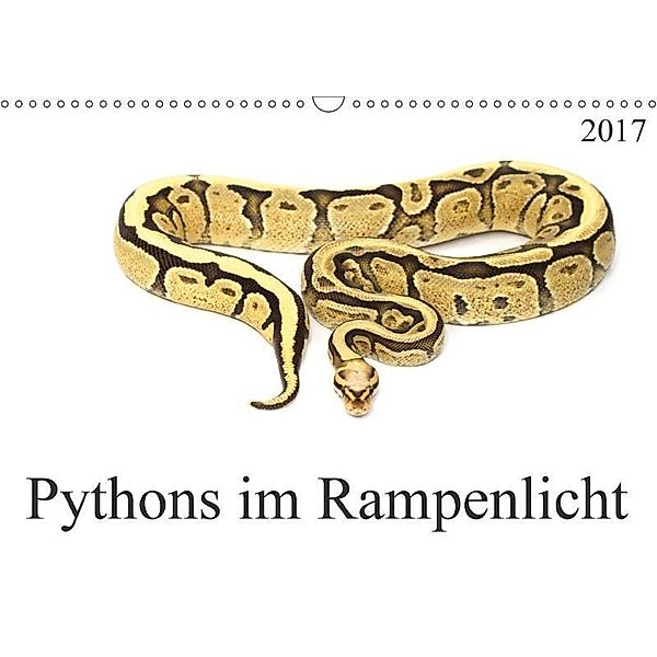 Pythons im Rampenlicht (Wandkalender 2017 DIN A3 quer), SchnelleWelten