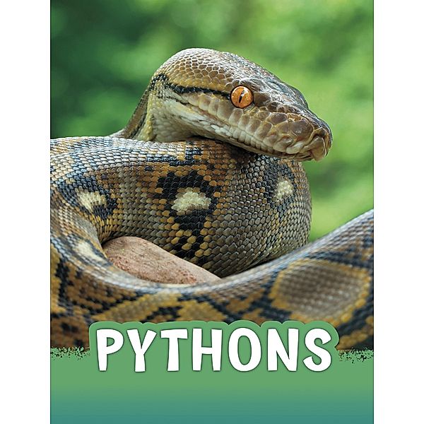 Pythons / Raintree Publishers, Martha E. Rustad