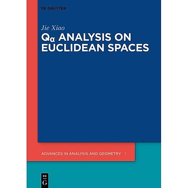 Qa Analysis on Euclidean Spaces / Advances in Analysis and Geometry Bd.1, Jie Xiao