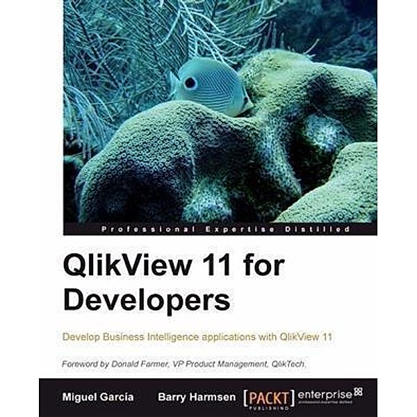 QlikView 11 for Developers, Barry Harmsen