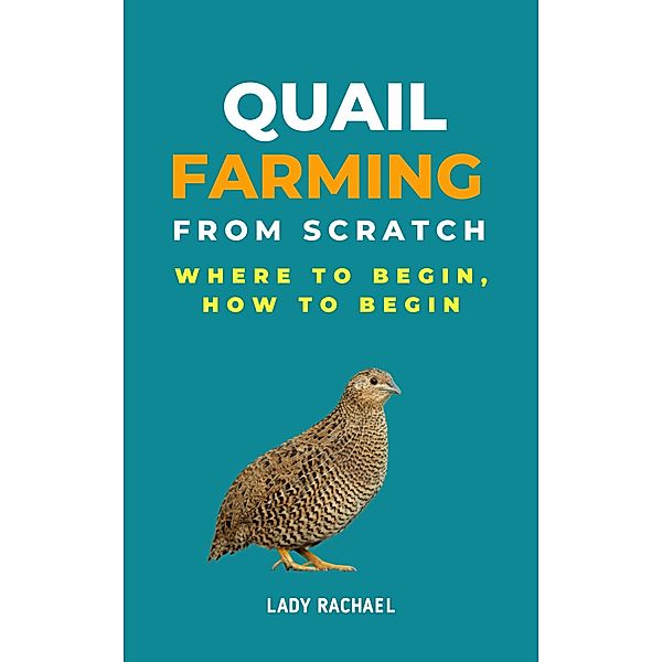 Quail Farming From Scratch: Where To Begin, How To Begin, Lady Rachael