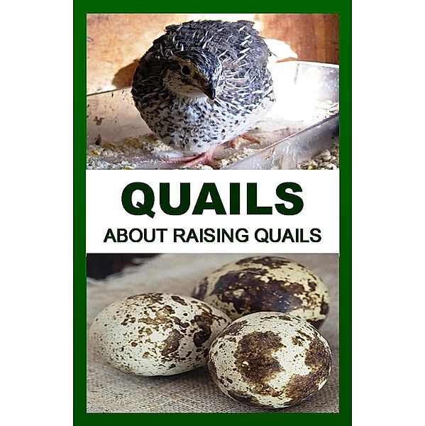 QUAILS: About Raising Quails, Franc Otieno
