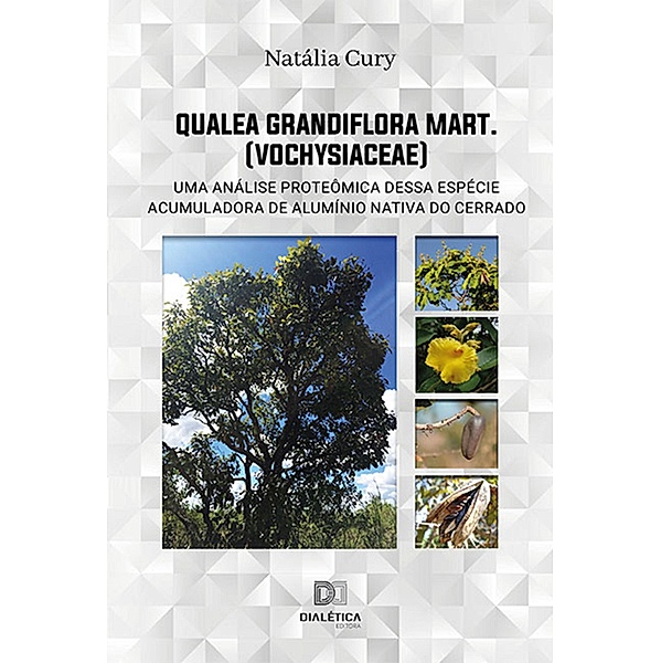 Qualea grandiflora Mart. (Vochysiaceae), Natália Cury