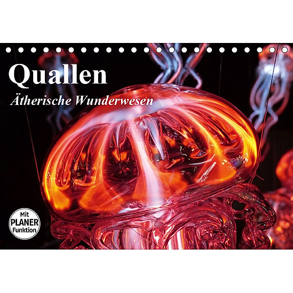 Quallen. Ätherische Wunderwesen (Tischkalender 2019 DIN A5 quer), Elisabeth Stanzer