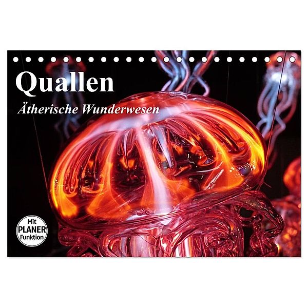 Quallen. Ätherische Wunderwesen (Tischkalender 2024 DIN A5 quer), CALVENDO Monatskalender, Elisabeth Stanzer