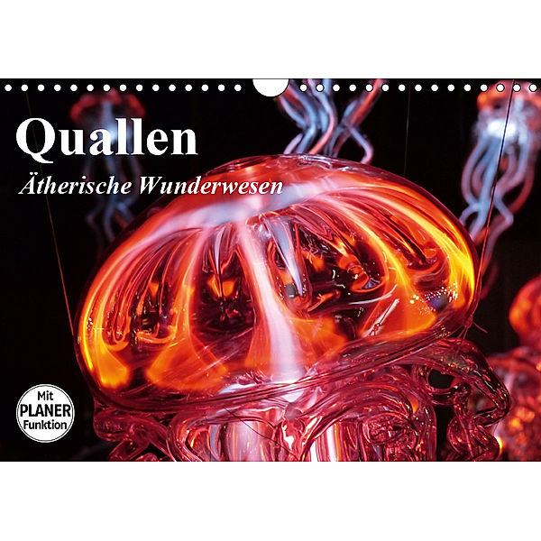 Quallen. Ätherische Wunderwesen (Wandkalender 2019 DIN A4 quer), Elisabeth Stanzer