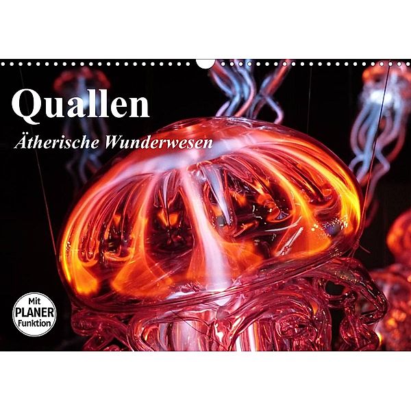 Quallen. Ätherische Wunderwesen (Wandkalender 2023 DIN A3 quer), Elisabeth Stanzer