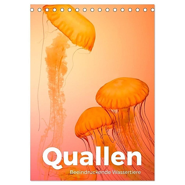 Quallen - Beeindruckende Wassertiere (Tischkalender 2024 DIN A5 hoch), CALVENDO Monatskalender, M. Scott