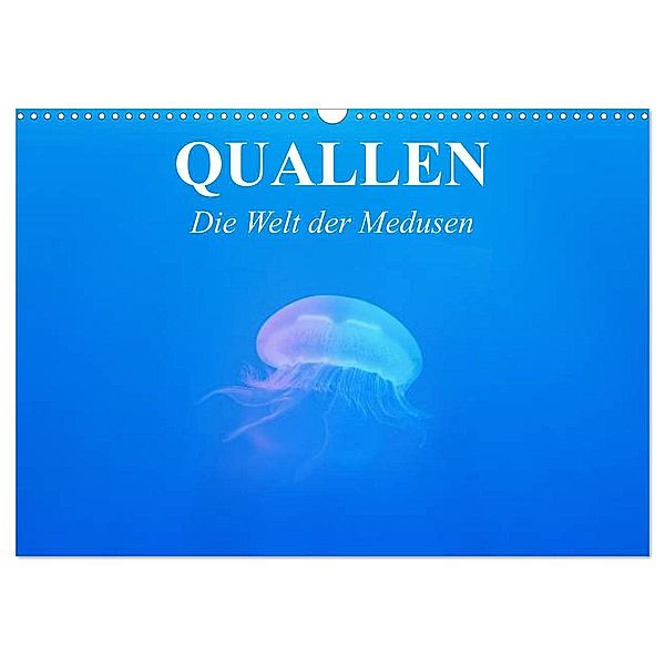 Quallen. Die Welt der Medusen (Wandkalender 2024 DIN A3 quer), CALVENDO Monatskalender, Elisabeth Stanzer