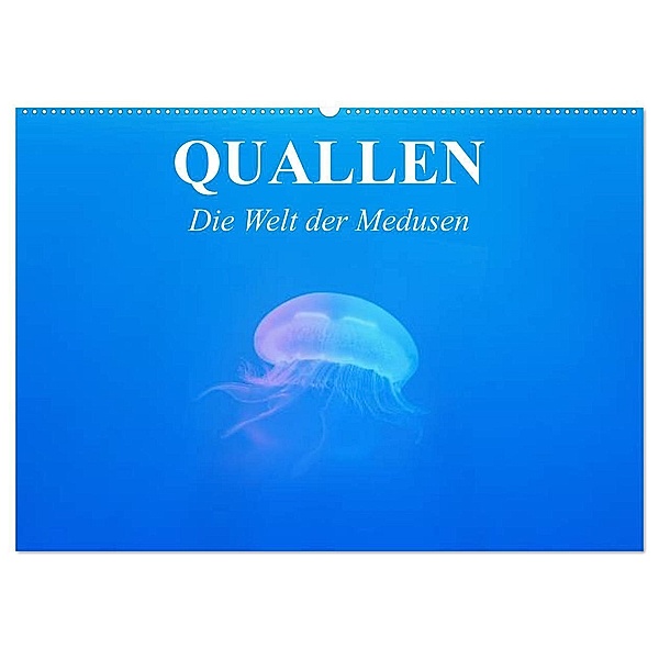 Quallen. Die Welt der Medusen (Wandkalender 2024 DIN A2 quer), CALVENDO Monatskalender, Elisabeth Stanzer