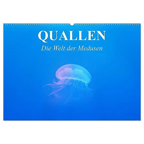 Quallen. Die Welt der Medusen (Wandkalender 2025 DIN A2 quer), CALVENDO Monatskalender, Calvendo, Elisabeth Stanzer