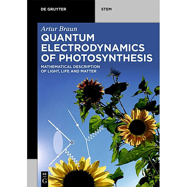 Quantum Electrodynamics of Photosynthesis, Artur Braun