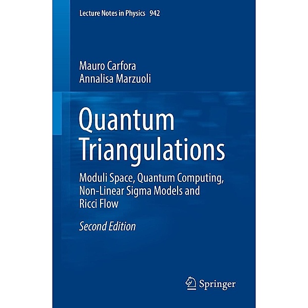 Quantum Triangulations / Lecture Notes in Physics Bd.942, Mauro Carfora, Annalisa Marzuoli