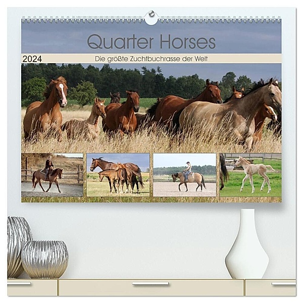 Quarter Horses - Die größte Zuchtbuchrasse der Welt (hochwertiger Premium Wandkalender 2024 DIN A2 quer), Kunstdruck in Hochglanz, B. Mielewczyk