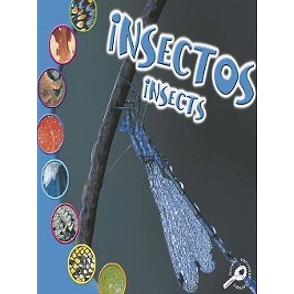 ¿Qué Es un Animal?: Insectos (Insects), Ted O'Hare