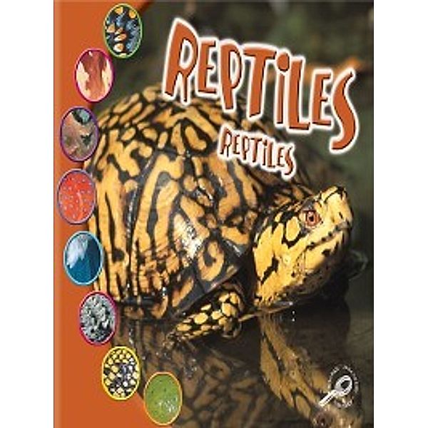 ¿Qué Es un Animal?: Reptiles (Reptiles), Ted O'Hare