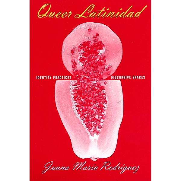 Queer Latinidad / Sexual Cultures Bd.24, Juana María Rodríguez