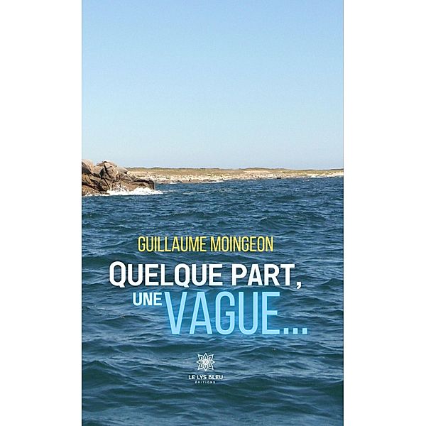 Quelque part, une vague..., Guillaume Moingeon