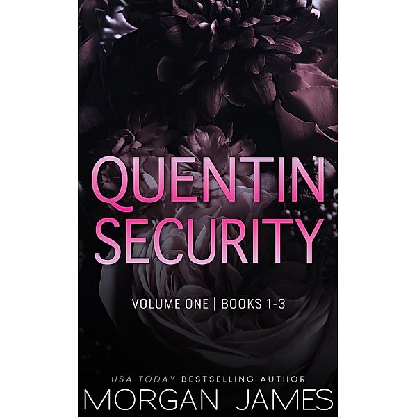Quentin Security Series Box Set 1, Morgan James