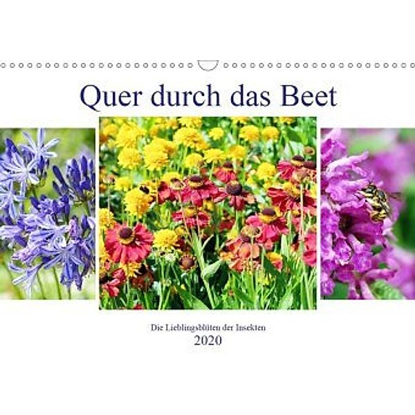 Quer durch das Beet - Die Lieblingsblüten der Insekten (Wandkalender 2020 DIN A3 quer), Anja Frost