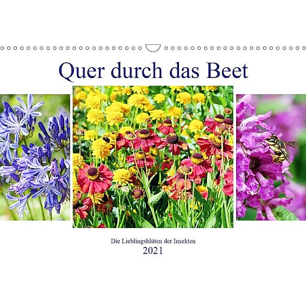 Quer durch das Beet - Die Lieblingsblüten der Insekten (Wandkalender 2021 DIN A3 quer), Anja Frost