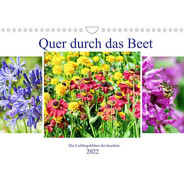 Quer durch das Beet - Die Lieblingsblüten der Insekten (Wandkalender 2022 DIN A4 quer), Anja Frost