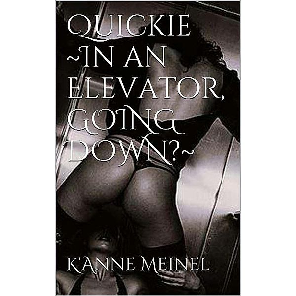 Quickie in an Elevator.  Going down?, K'Anne Meinel