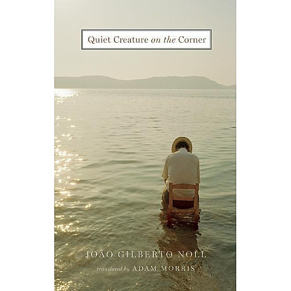 Quiet Creature on the Corner, João Gilberto Noll