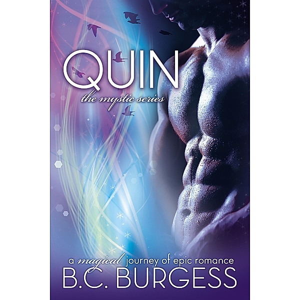 Quin (The Mystic Series) / The Mystic Series, B. C. Burgess