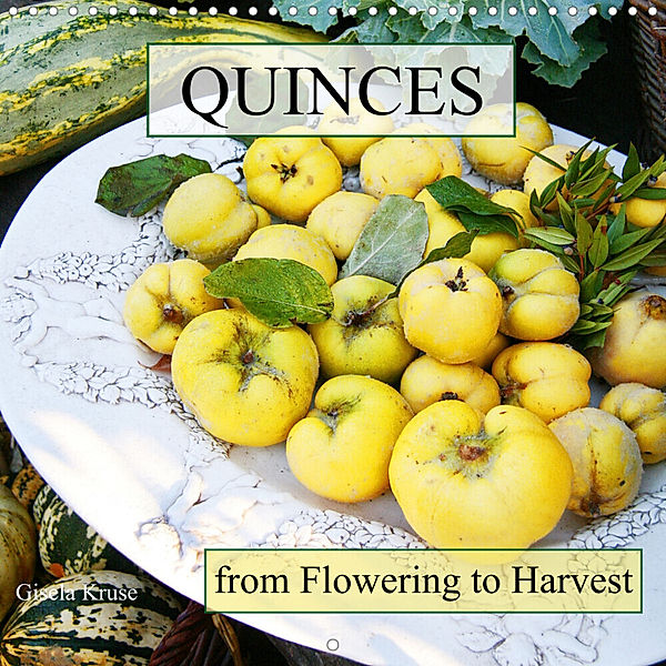 Quinces From Flowering to Harvest (Wall Calendar 2023 300 × 300 mm Square), Gisela Kruse