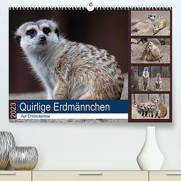 Quirlige Erdmännchen (Premium, hochwertiger DIN A2 Wandkalender 2023, Kunstdruck in Hochglanz), Manuela Falke