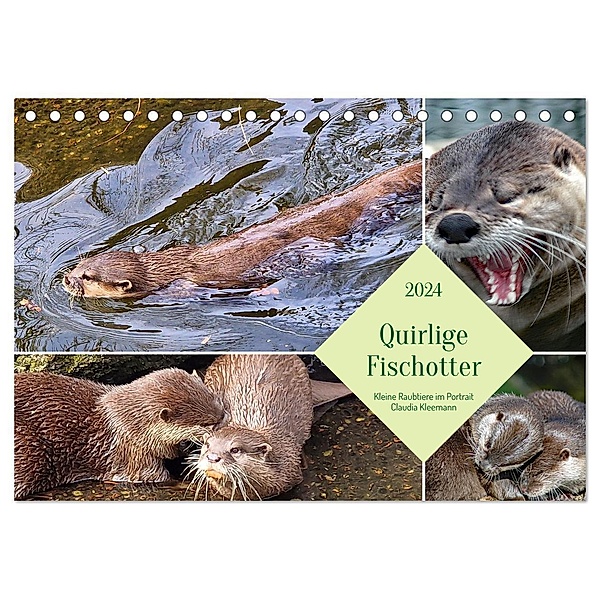 Quirlige Fischotter (Tischkalender 2024 DIN A5 quer), CALVENDO Monatskalender, Claudia Kleemann