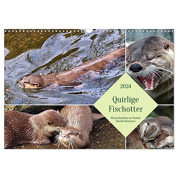 Quirlige Fischotter (Wandkalender 2024 DIN A3 quer), CALVENDO Monatskalender, Claudia Kleemann