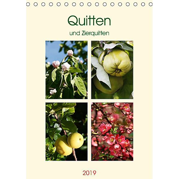 Quitten und Zierquitten (Tischkalender 2019 DIN A5 hoch), Gisela Kruse