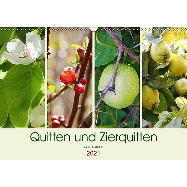 Quitten und Zierquitten (Wandkalender 2021 DIN A3 quer), Gisela Kruse