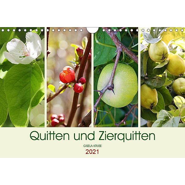 Quitten und Zierquitten (Wandkalender 2021 DIN A4 quer), Gisela Kruse