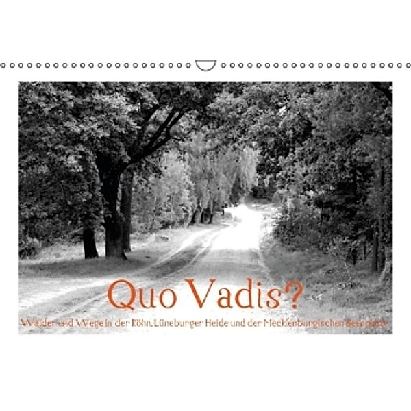 Quo Vadis? Wälder und Wege in der Röhn, Lüneburger Heide und der Mecklenburgischen Seenplatte (Wandkalender 2016 DIN A3, Fotokullt