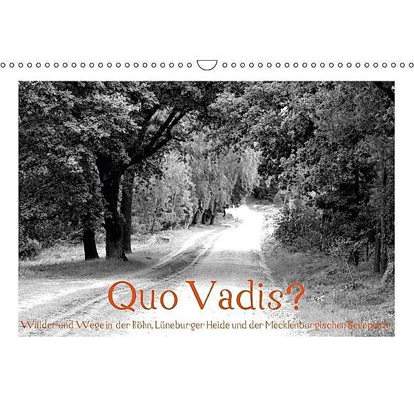 Quo Vadis? Wälder und Wege in der Röhn, Lüneburger Heide und der Mecklenburgischen Seenplatte (Wandkalender 2017 DIN A3, Fotokullt