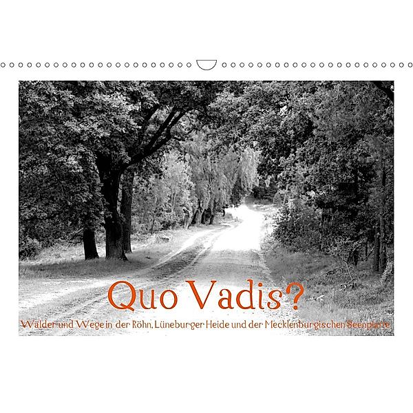 Quo Vadis? Wälder und Wege in der Röhn, Lüneburger Heide und der Mecklenburgischen Seenplatte (Wandkalender 2020 DIN A3