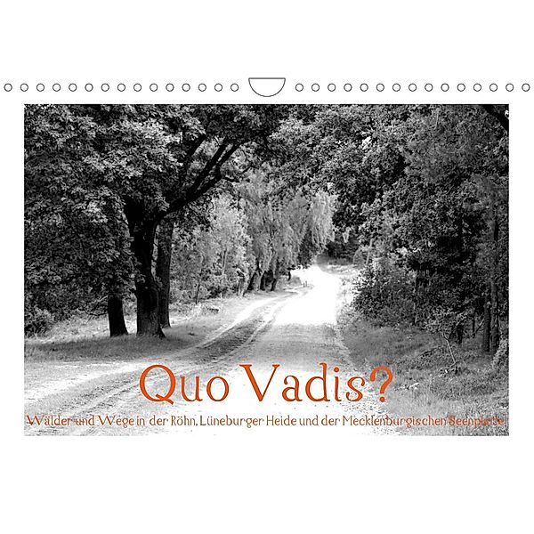 Quo Vadis? Wälder und Wege in der Röhn, Lüneburger Heide und der Mecklenburgischen Seenplatte (Wandkalender 2023 DIN A4, Fotokullt