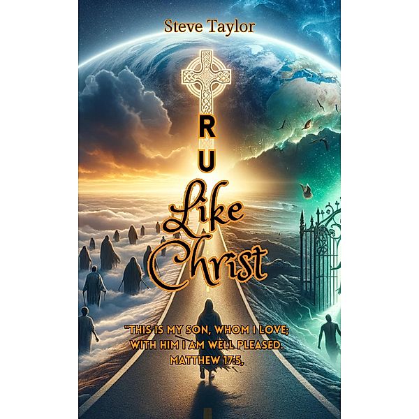 R U Like Christ?, Steve Taylor