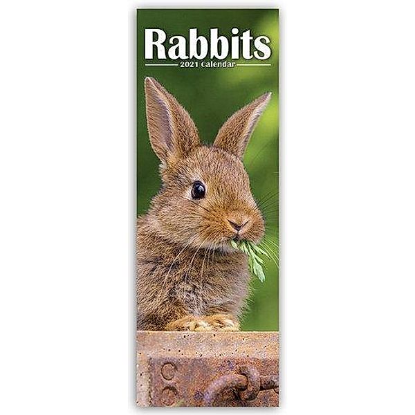 Rabbits 2021, Avonside Publishing Ltd